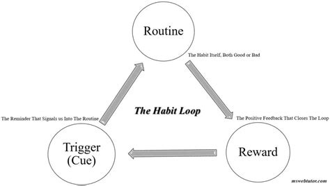 theories about study habits